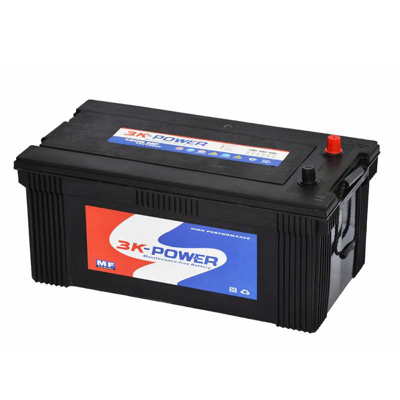 Battery lead start 12V 100Ah 860 has Exellent E5 maintenance free