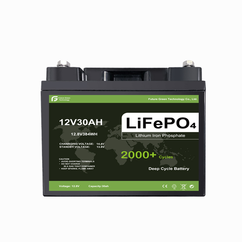 Factory Price for 12v 30Ah lifepo4 Energy Storage Battery With BMS Free OEM 12.8v 30Ah LFP Battery
