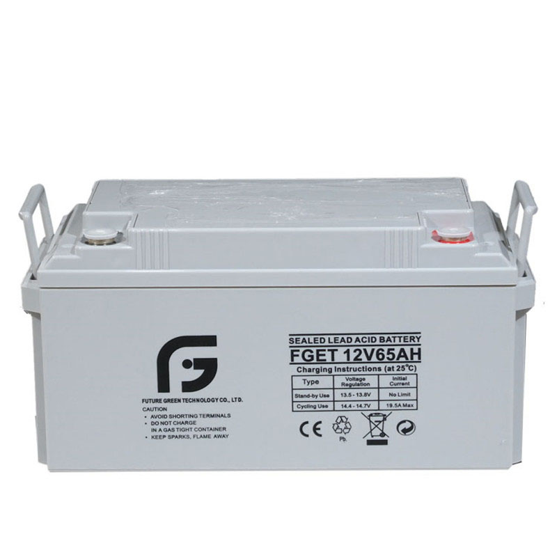 FGET 12V65ah Deep Cycle High Efficiency Rechargeable Lead Acid Battery